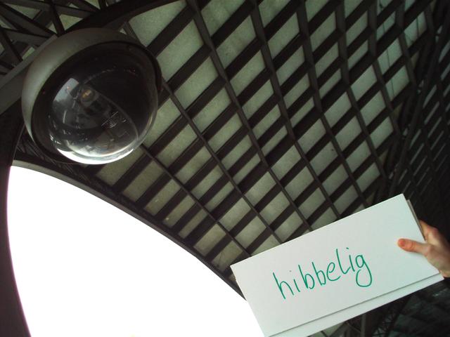 090107_0036 090107_0036