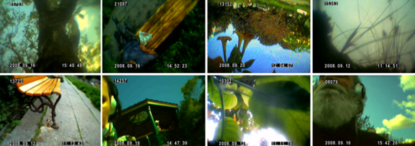 Parasitic Video Network