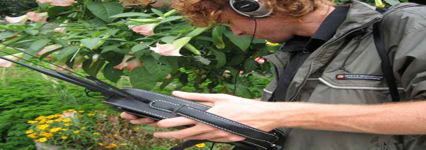 Parasitic Video Network